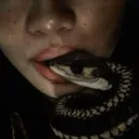 Server icon for SEVENTEEN's CONFIGS