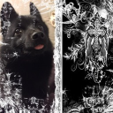 ⁺˚*･༓☾Puppy Paradise☽༓･*˚⁺ Discord server icon