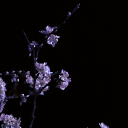 실패인가? Discord server icon