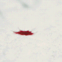 𝙈𝙤𝙞𝙧é Discord server icon