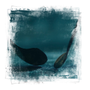 🏒     ⸝⸝      THE ARENA   . Discord server icon