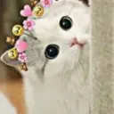 MEOWINGTIN