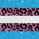 °❀⋆.ೃ࿔*:･ Trans Home °❀⋆.ೃ࿔*:･