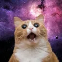 ✧ The Mew-Niverse ✧