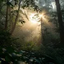 Warriors: A Shift of Moss
