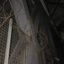 RNSHW Discord server icon