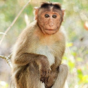 The Return Discord server icon