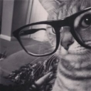 /enz Discord server icon