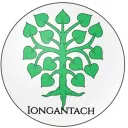 Iongatach Character Roleplay Discord