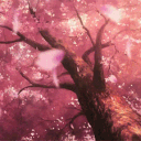 The Fandomatic Server's icon