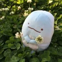 🌱 The Corner | sfw ; social ; giveaways • stox 🌱