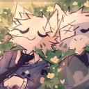 🐾 𝚃𝚑𝚎 𝙲𝚊𝚗𝚘𝚙𝚢 🐾
