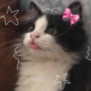 CATCORE!!/ 𐔌՞ ܸ.ˬ.ܸ՞𐦯 HANGOUT Discord server icon