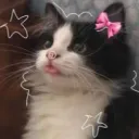 CATCORE!!/ 𐔌՞ ܸ.ˬ.ܸ՞𐦯 HANGOUT