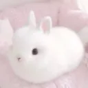 ⋆ 𐙚 ̊ ݁ the bunny parlor ˖Ი𐑼⋆