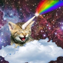 ☆  ,  ,  VIRTUOSITY . Discord server icon