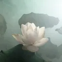 balance