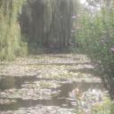 𝓒𝓮𝓵𝓮𝓼𝓽𝓲𝓪𝓵 𝓟𝓮𝓽𝓪𝓵𝓼