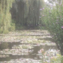 𝓒𝓮𝓵𝓮𝓼𝓽𝓲𝓪𝓵 𝓟𝓮𝓽𝓪𝓵𝓼 Discord server icon