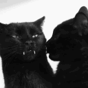 merged into /race