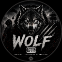 배틀그라운드 WOLF 클랜