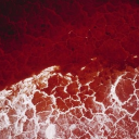 .ꕀ ݁˖    𝑅ed 𝑊aves Discord server icon