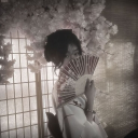 Moonlit Torii ⛩ Discord server icon