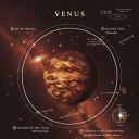 𝐯𝐞𝐧𝐮𝐬 Discord server icon