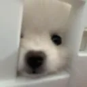 pwq