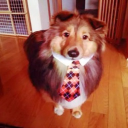 my great server Discord server icon