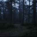 𝚊 𝚙𝚊𝚙𝚎𝚛 𝚝𝚛𝚊𝚒𝚕.. Discord server icon