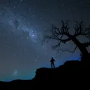 The Outcasts