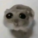 Server Icon