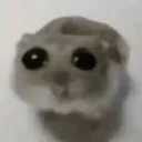 Gierki server icon