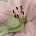 ノ𝑠𝑚𝑖𝑠𝑘𝑖𝑠