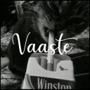 Vaaste 💘 | Hangout • Chill • Indian Discord Server • voice chat • Active • Chill discord icon