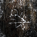 ⋆.˚ 𝑭𝑙𝑖𝑔ℎ𝑡 𝟐𝟓𝟐𝟓 ᵎᵎ .⋆♱ Discord server icon