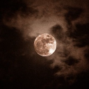 ✩₊˚.༄ 𝐖𝐈𝐍𝐃𝐂𝐑𝐄𝐒𝐓 𝐔𝐍𝐈𝐕𝐄𝐑𝐒𝐈𝐓𝐘 ༉‧₊˚✧ Discord server icon