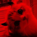 Rҽԃ αɳԃ Mყʂƚҽɾισυʂ Discord server icon