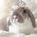 r/bunnygirlplaypen