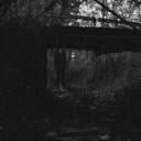 collect my pages Discord server icon