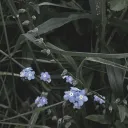 ⌗— ᥲᥣᥣᥱghᥱᥒყ gᥱᥒᥱrᥲᥣ hosριtᥲᥣ 𝟷𝟻+