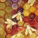 🐝Busy bees🐝 Discord server icon