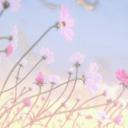 Maddie's Meadows
