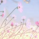 Maddie's Meadows