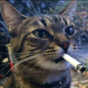 /smoke/ Discord server icon