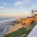 ᴏᴘᴀʟɪɴᴇ sʜᴏʀᴇs, ᴍᴀɪɴᴇ Discord server icon