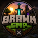 Brawn Smp