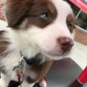 음향이 좋은 Discord server icon