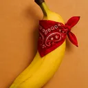 Bandna's Minecraft Server